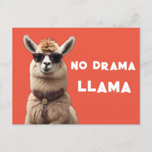 Geen drama Llama Cool Alpaca Draag zonnebril Sinaa Briefkaart