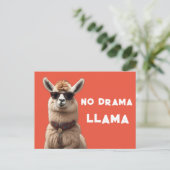 Geen drama Llama Cool Alpaca Draag zonnebril Sinaa Briefkaart (Staand voorkant)