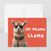 Geen drama Llama Cool Alpaca Draag zonnebril Sinaa Briefkaart (Voorkant / Achterkant)