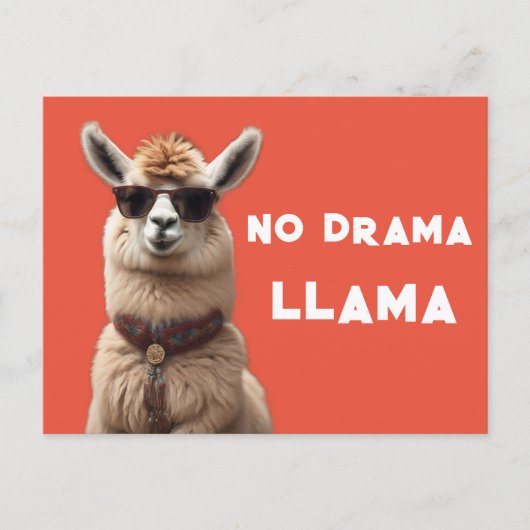 Geen drama Llama Cool Alpaca Draag zonnebril Sinaa Briefkaart (Voorkant)