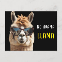 Geen Drama Llama Cool Alpaca met Zonnebril Grappig
