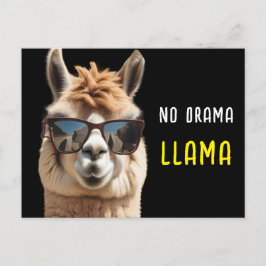 Geen Drama Llama Cool Alpaca met Zonnebril Grappig Briefkaart