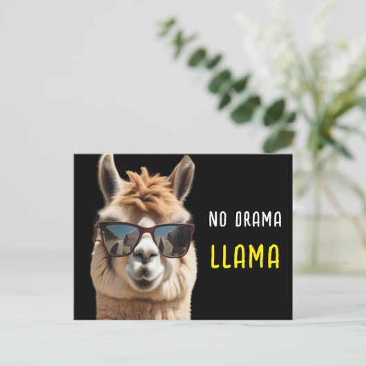 Geen Drama Llama Cool Alpaca met Zonnebril Grappig Briefkaart (Staand voorkant)