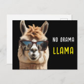 Geen Drama Llama Cool Alpaca met Zonnebril Grappig Briefkaart (Voorkant / Achterkant)