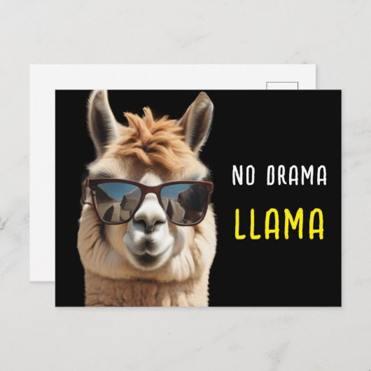 Geen Drama Llama Cool Alpaca met Zonnebril Grappig Briefkaart (Voorkant / Achterkant)