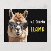 Geen Drama Llama Cool Alpaca met Zonnebril Grappig Briefkaart (Voorkant)