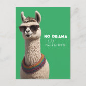 Geen Drama Llama Funky Alpaca Zonnebril Groen Briefkaart (Voorkant)