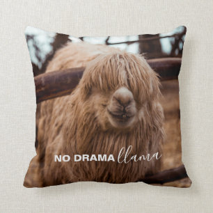 Geen Drama Llama Gekke Alpaca Foto Kussen