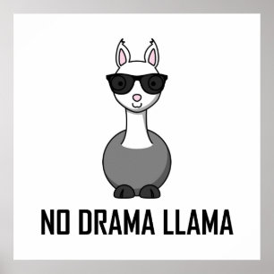 Geen Drama Llama zonnebril Poster