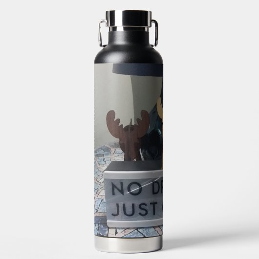Geen dromen, alleen doelen: Reindeer Water Bottle Waterfles (Voorkant)