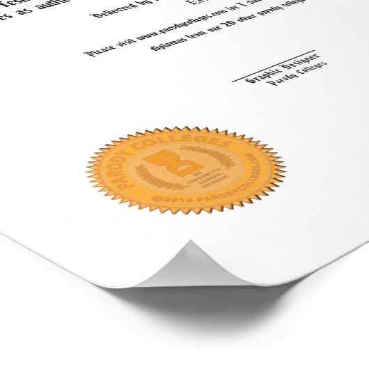 Geen echt diploma 11 x 14 poster (Hoek)