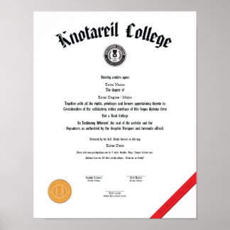 Geen echt diploma 11 x 14 poster