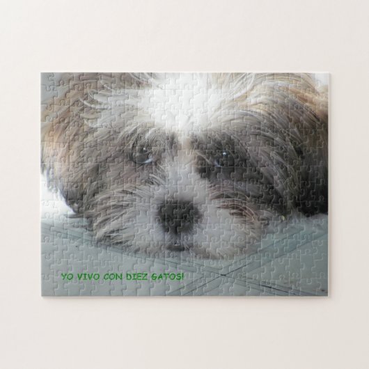 Geen Feliz Jigzaag Puzzle Legpuzzel (Horizontaal)