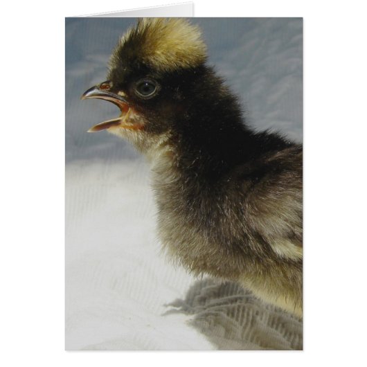 Geen foto's (Voorkant)