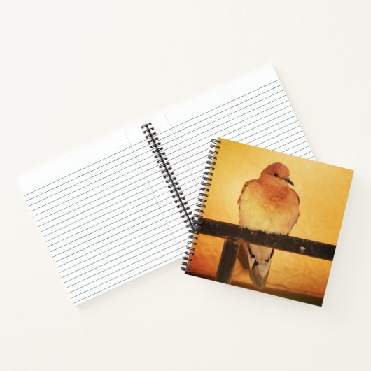 "Geen foto's, alsjeblieft!" Notitieboek (Binnen)