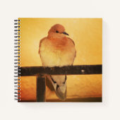 "Geen foto's, alsjeblieft!" Notitieboek (Voorkant)