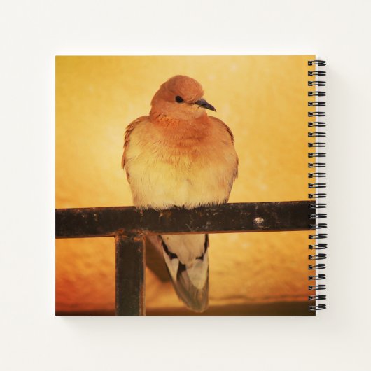 "Geen foto's, alsjeblieft!" Notitieboek (Achterkant)