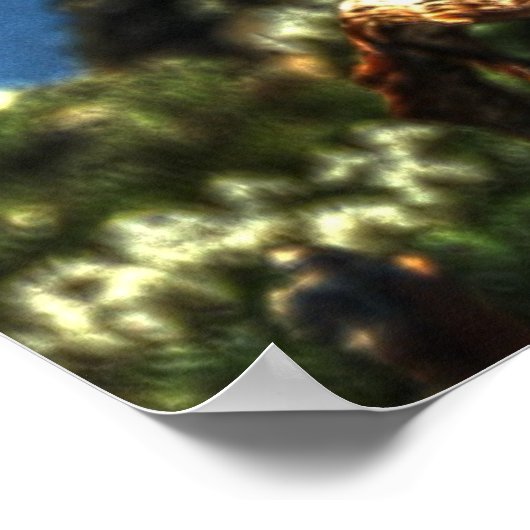 Geen geit poster (Hoek)