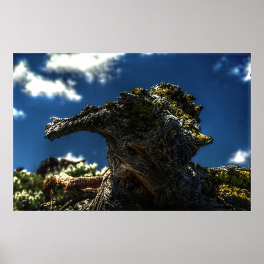 Geen geit poster (Voorkant)