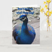 GEEN GEMIDDELDE PEACOCK-VRIENDELIJK EN ZEGT HAPPY  KAART (Gele Bloem)