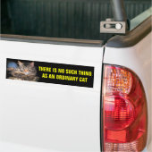 Geen gewone kat bumpersticker (Op Truck)