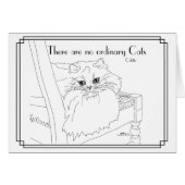 Geen gewone katten (Voorkant Horizontaal)