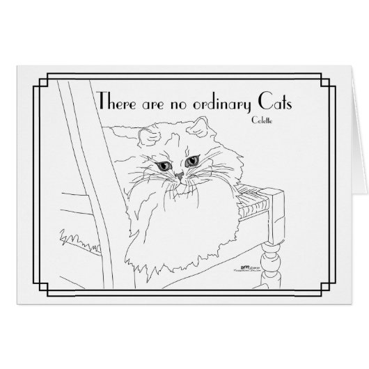 Geen gewone katten (Voorkant Horizontaal)