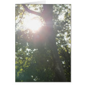 Geen goede reden (Voorkant)