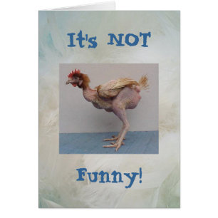 Geen grappige Chicken Card