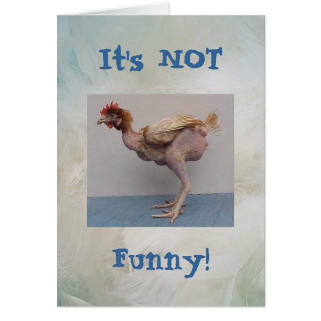 Geen grappige Chicken Card (Voorkant)