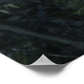 Geen grenzen Bungee Jumping Poster (Hoek)