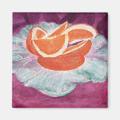 Geen grote schil magneet (Voorkant)