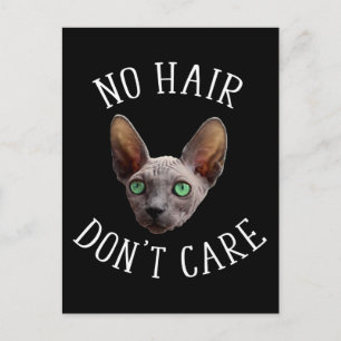 Geen haar, geen zorg Leuk Sphynx kat Briefkaart