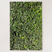 geen heg legpuzzel (Verticaal)