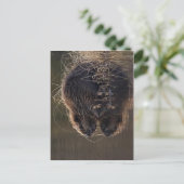 Geen hogere resolutie beschikbaar. Beaver_pho34.jp Briefkaart (Staand voorkant)