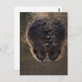 Geen hogere resolutie beschikbaar. Beaver_pho34.jp Briefkaart (Voorkant / Achterkant)