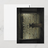 Geen hogere resolutie beschikbaar. Catacombs-700px Briefkaart (Voorkant / Achterkant)