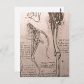 Geen hogere resolutie beschikbaar. Leonardo_anatom Briefkaart (Voorkant / Achterkant)