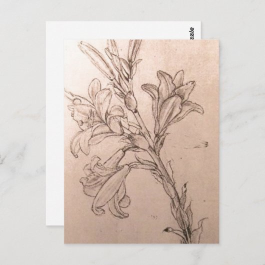 Geen hogere resolutie beschikbaar. Leonardo_lilies Briefkaart (Voorkant / Achterkant)