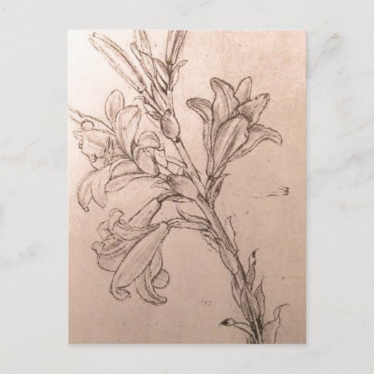 Geen hogere resolutie beschikbaar. Leonardo_lilies Briefkaart (Voorkant)