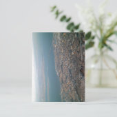 Geen hogere resolutie beschikbaar. Malmo_uitzicht2 Briefkaart (Staand voorkant)