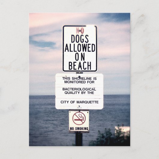 Geen honden toegestaan op strand briefkaart (Voorkant)