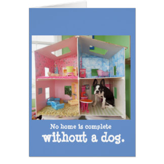 Geen huis is compleet zonder hond.