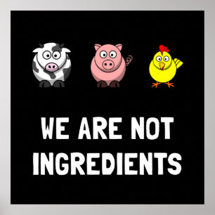 Geen ingrediënten poster