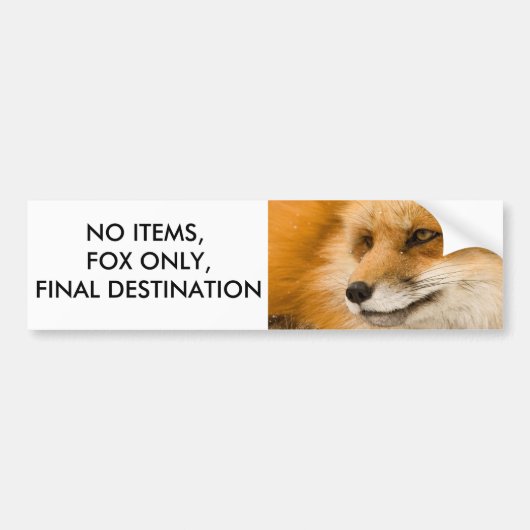 Geen Items, Alleen Vos, Eindbestemming Bumpersticker (Voorkant)