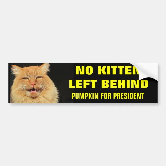 Geen Katje Verlaten achter Vette letters Bumpersticker (Voorkant)