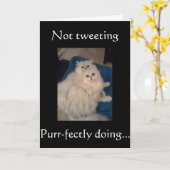 GEEN KATTEN TWITTEREN-GELUKKIGE PUR-PERFECTE VERJA KAART (Gele Bloem)