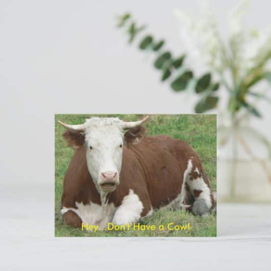 Geen Koe Briefkaart (Staand voorkant)