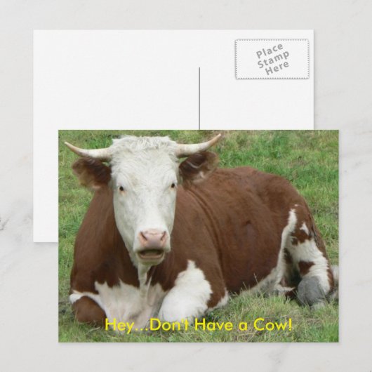 Geen Koe Briefkaart (Voorkant / Achterkant)