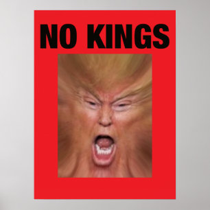 GEEN KONING Dump Trump Poster